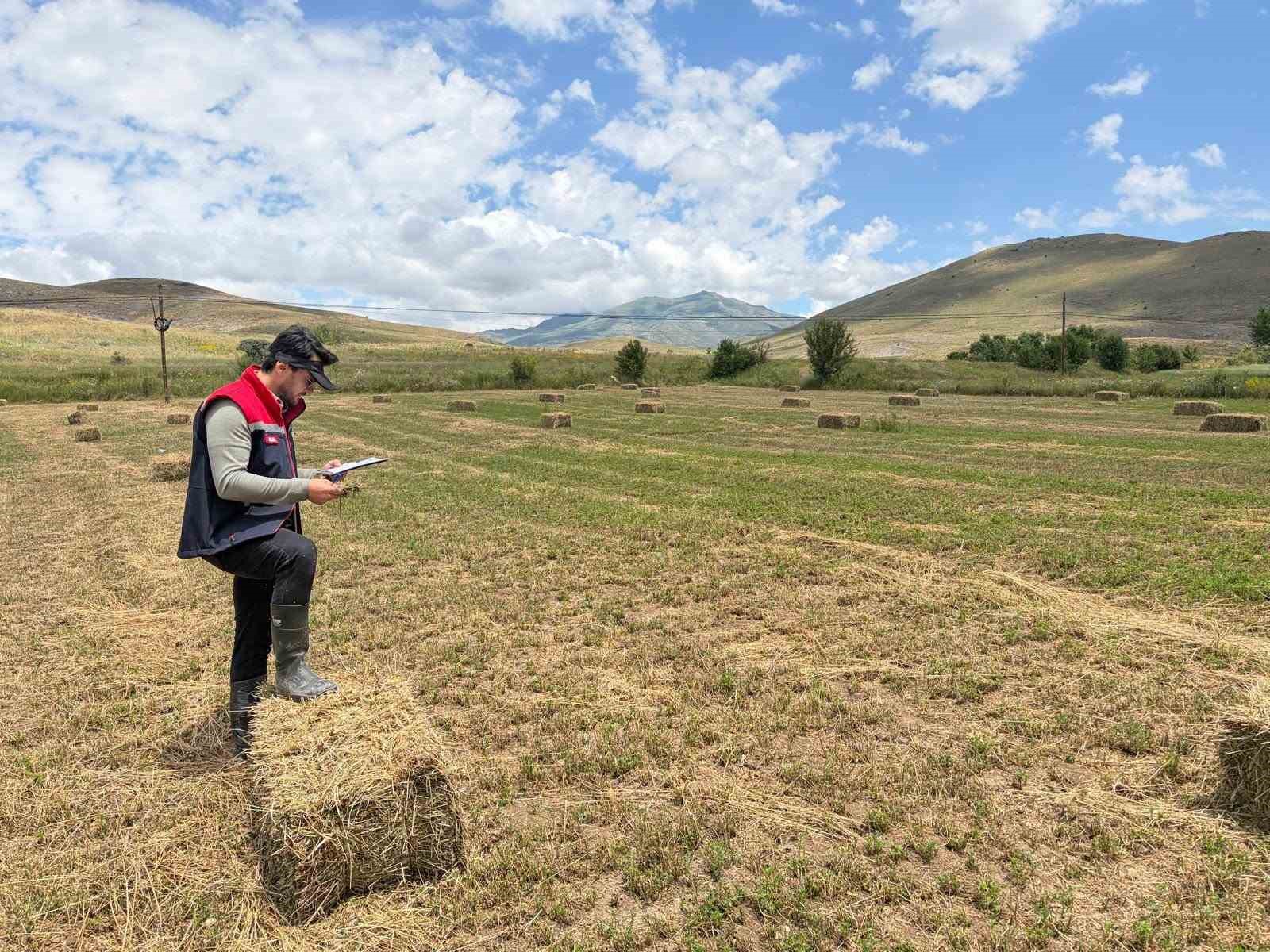 bayburt-ta-urun-tespit-calismalari-suruyor