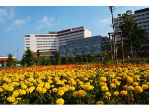 Adana Şehir Hastanesinde Korona Hastalarına "Kan Değişimi" Tedavisi