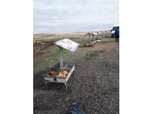 Erciş Belediyesinden Sokak Hayvanlarına Yem Desteği