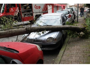 Park Halindeki Aracın Üzerine Ağaç Devrildi