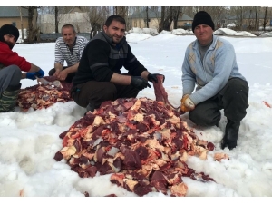 Yüksekova’da Korona Virüsüne Karşı Kurban Kesilip Dua Edildi