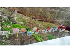 Korona Virüse Karşı Emekli Maaşını Kaynar Suda Yıkadı