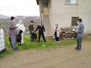 Sağlık Çalışanları Korona Virüs Defi İçin Kurban Kesti