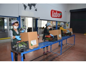 Kalkınma Kooperatifinden İhtiyaç Sahiplerine Sebze Desteği