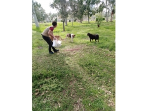 Sokaktaki Canlar Unutulmadı