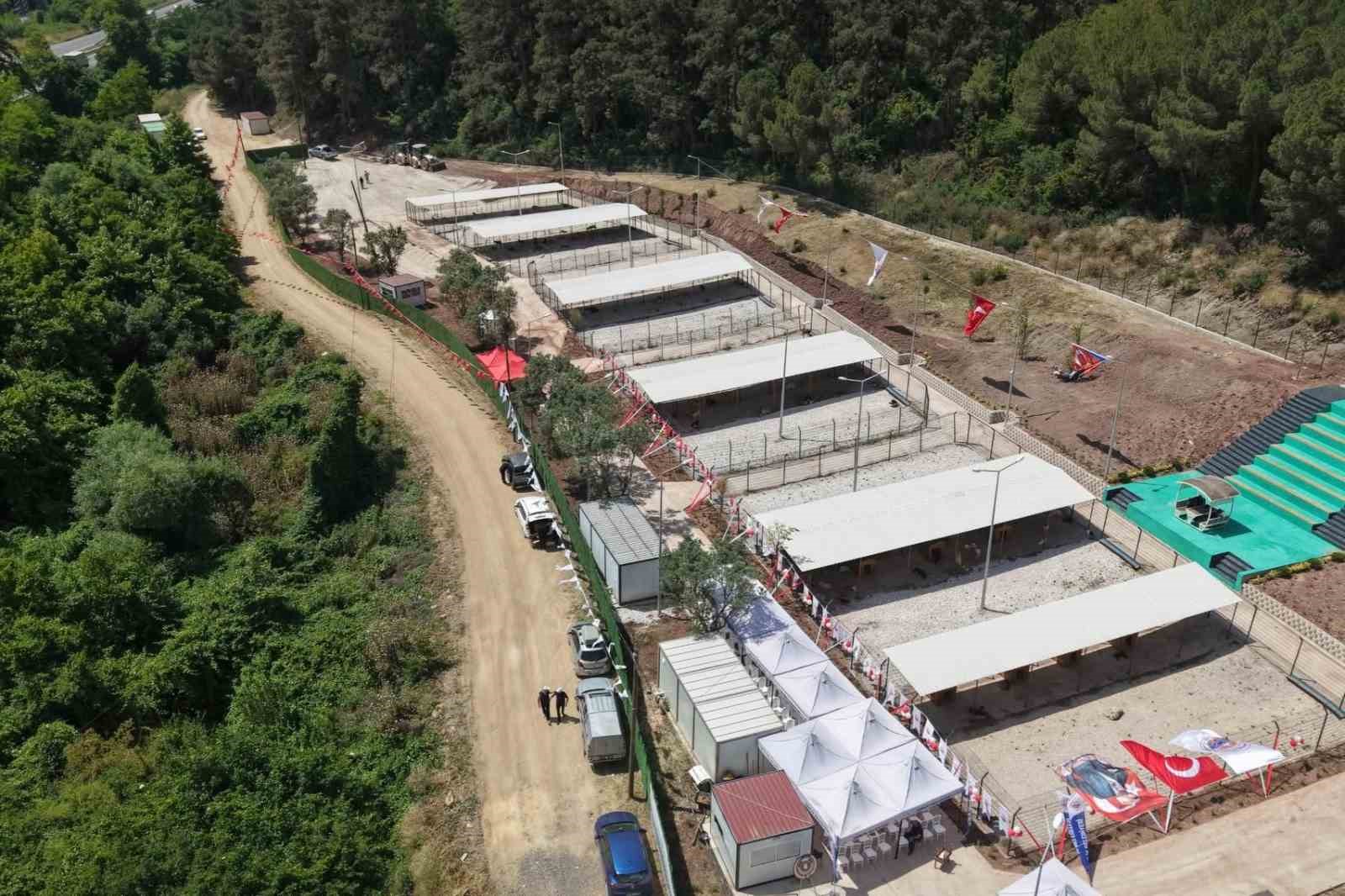 bursa-hayvan-haklari-platformu-ndan-gemlik-belediyesi-ne-tepki-kapilari-acin