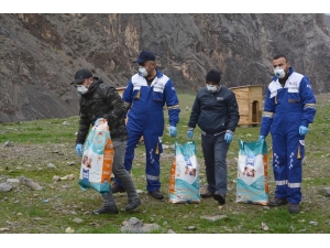Hakkari’de Sokak Hayvanları Emin Ellerde