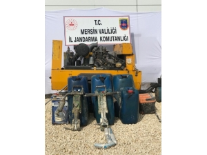 Hazine Arazilerini Tarım Alanına Dönüştürmeye Çalışırken Yakalandılar