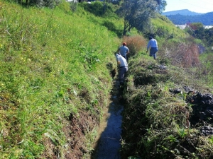 Alanya’da Sulama Kanallarını Temizliyor