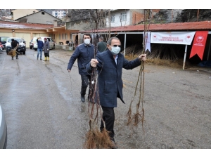 Gümüşhane’de 65 Yaş Üzeri Çiftçilerin Fidanları Evlerine Götürüldü