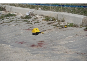 Tartıştığı Komşusunun Eşini Öldürdükten Sonra İntihar Etti