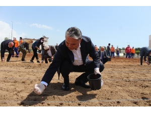 Muratpaşa Belediyesi, Gıda Krizi Riskine Karşı Mısır Ekimine Başladı