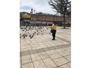 Meydanlar Boş Kalınca Güvercinleri Belediye Ekipleri Besledi