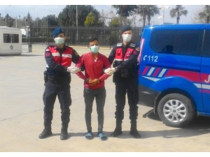 Çiftçileri Bıktıran Plastik Kasa Hırsızı Sonunda Yakalandı