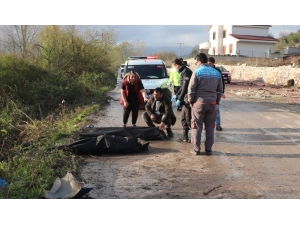 Takla Atan Otomobil Elektrik Direğini Yerinden Söktü: 2 Ölü 2 Yaralı