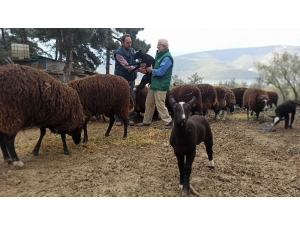 Ana Kuzuları Böyle Görüntülendi