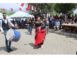 Romanlar 49 Yıl Sonra İlk Defa Sessiz Kaldı