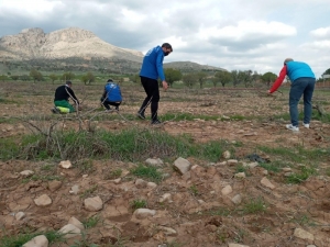 Vefa Ekibi Sokağa Çıkamayan Yaşlıların Bağlarını Budadı