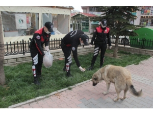 Yunus Timleri Sokak Hayvanlarını Da Unutmadı