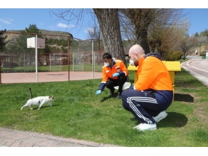 Sivas Belediyesi Sokak Hayvanlarını Unutmadı