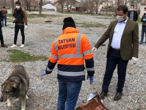 Tatvan’da Sokak Hayvanları İçin Doğaya Yiyecek Bırakıldı