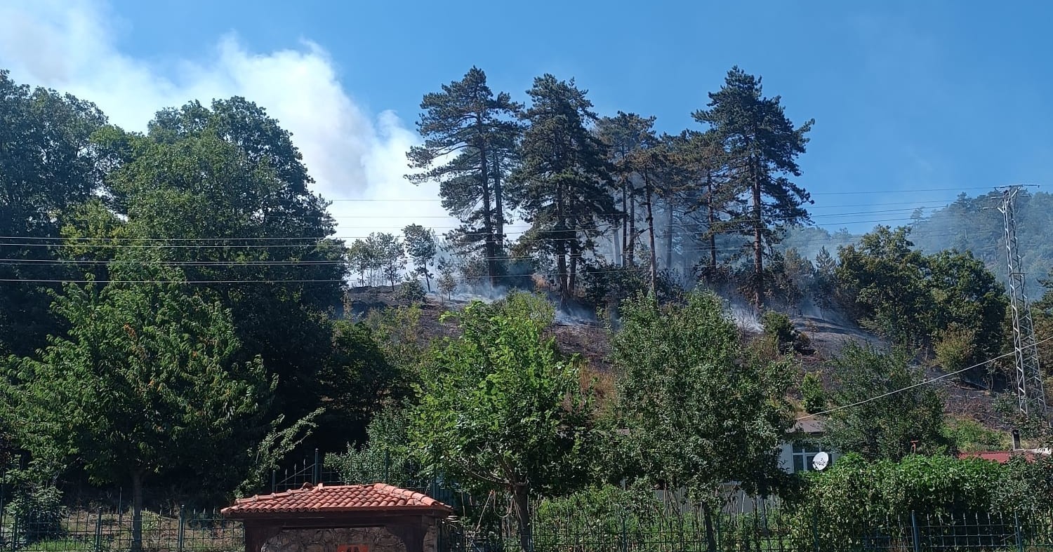 sinop-taki-orman-yanginiyla-ilgili-1-kisi-tutuklandi