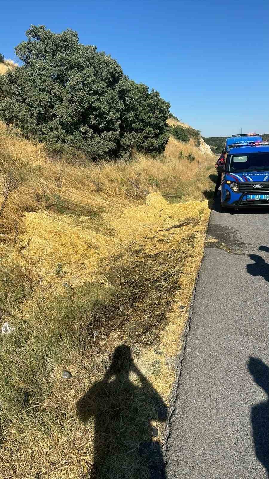 yol-kenarina-atilan-sigara-izmariti-yangina-neden-oldu