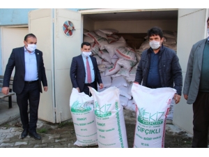 "Hayat Eve Tohum Toprağa Sığar"