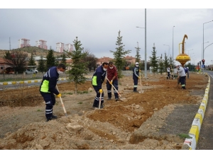 Nevşehir’de Kavşak Ve Refüjlerde Bahar Hazırlığı Yapılıyor