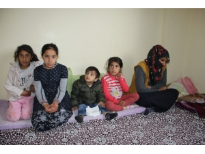 Kulp Şehidinin Eşinden Yürek Yakan Ağıt