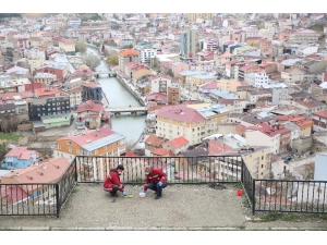 Bayburt’ta Sokak Hayvanları İçin Mama, Yiyecek Ve Su Bırakıldı