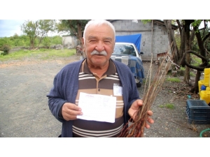 Tv’den Fidan Sipariş Eden Çiftçiye Kurumuş Fidan Yolladılar