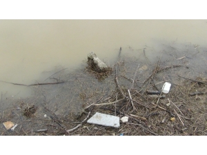 Sular Tekrar Yükseldi, Mezarlar Sulara Gömüldü