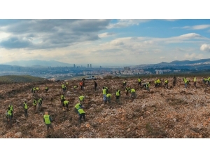 İzmir’e 10 Yılda 28 Milyon Adet Fidan