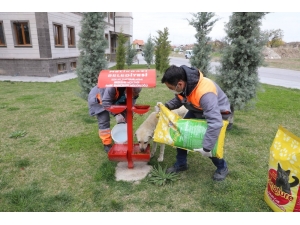 Melikgazi’de Salgına Rağmen Sokak Hayvanları Unutulmadı