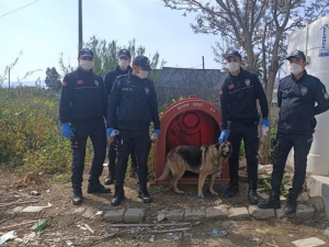 Ödemiş Polisi Can Dostları Sahipsiz Bırakmadı
