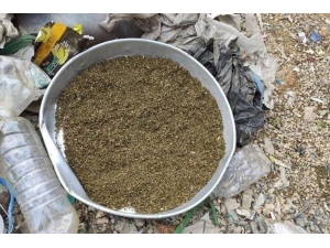 Mardin’de Uyuşturucu Operasyonu: 1 Gözaltı