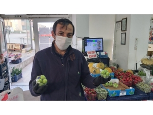 Eriğin Tanesi 1,5 Lira