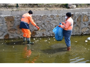 Taşkın Koruma Kanalları Temizleniyor