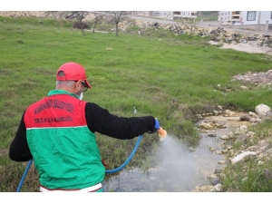 Karaköprü’de Hem Dezenfekte Hem De İlaçlama Çalışmaları Sürüyor