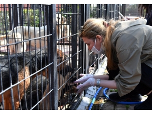 Can Dostlara İş Dünyasından Destek
