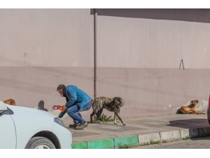 Karacabey, Can Dostları Unutmuyor