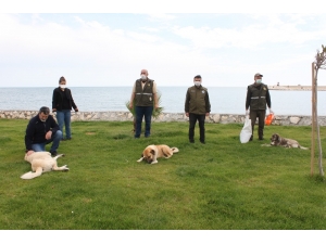 Yiyecek Desteği Verilen Sokak Köpekleri Sağlık Kontrolünden De Geçirildi