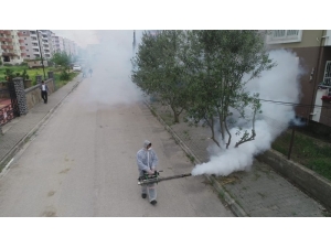 Ceyhan Belediyesi, Korona Virüs İle Mücadeleye Aralıksız Devam Ediyor