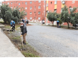 Toroslar’da Toplu Konut Alanlarında Bakım Yapılıyor