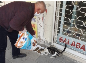 Akçadağ’da Sokak Hayvanları Unutulmadı