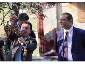 Tarımsal Üretim Destek Ve Planlama Kurulu Sonuç Bildirgesi İle Acil Eylem Planı Açıklandı