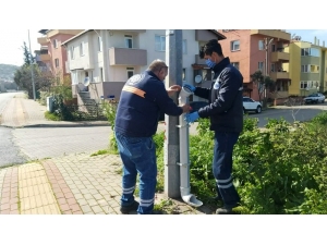 Biga Belediyesi Sokak Hayvanlarını Unutmadı