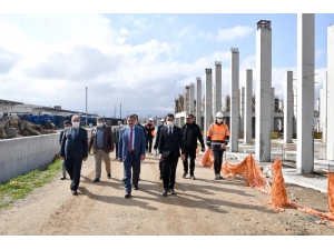 Malatya Kuru Kayısı Lisanslı Depoculuk Ve Borsası Projesi Yılsonunda Tamamlanacak