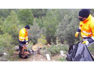 Abbaslık Köy Yolunda Belediye Ekipleri 1 Kamyon Atık Topladı